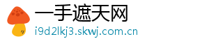 一手遮天网